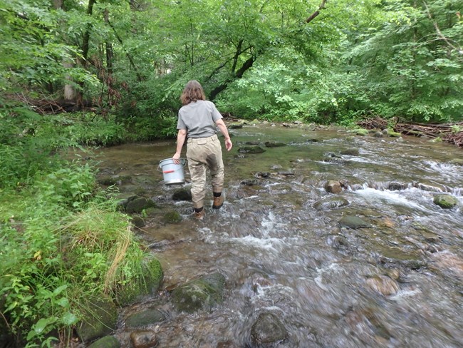 A woman carries a bucket walking across rocks in a stream.