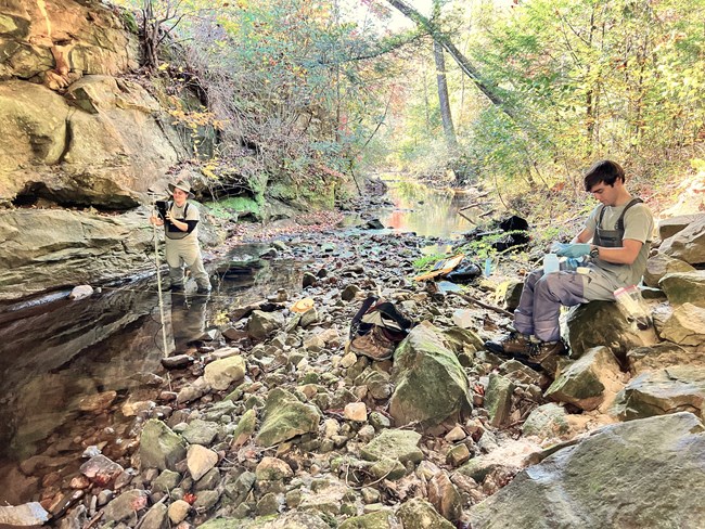 Water quality technicians sampling a stream at BISO