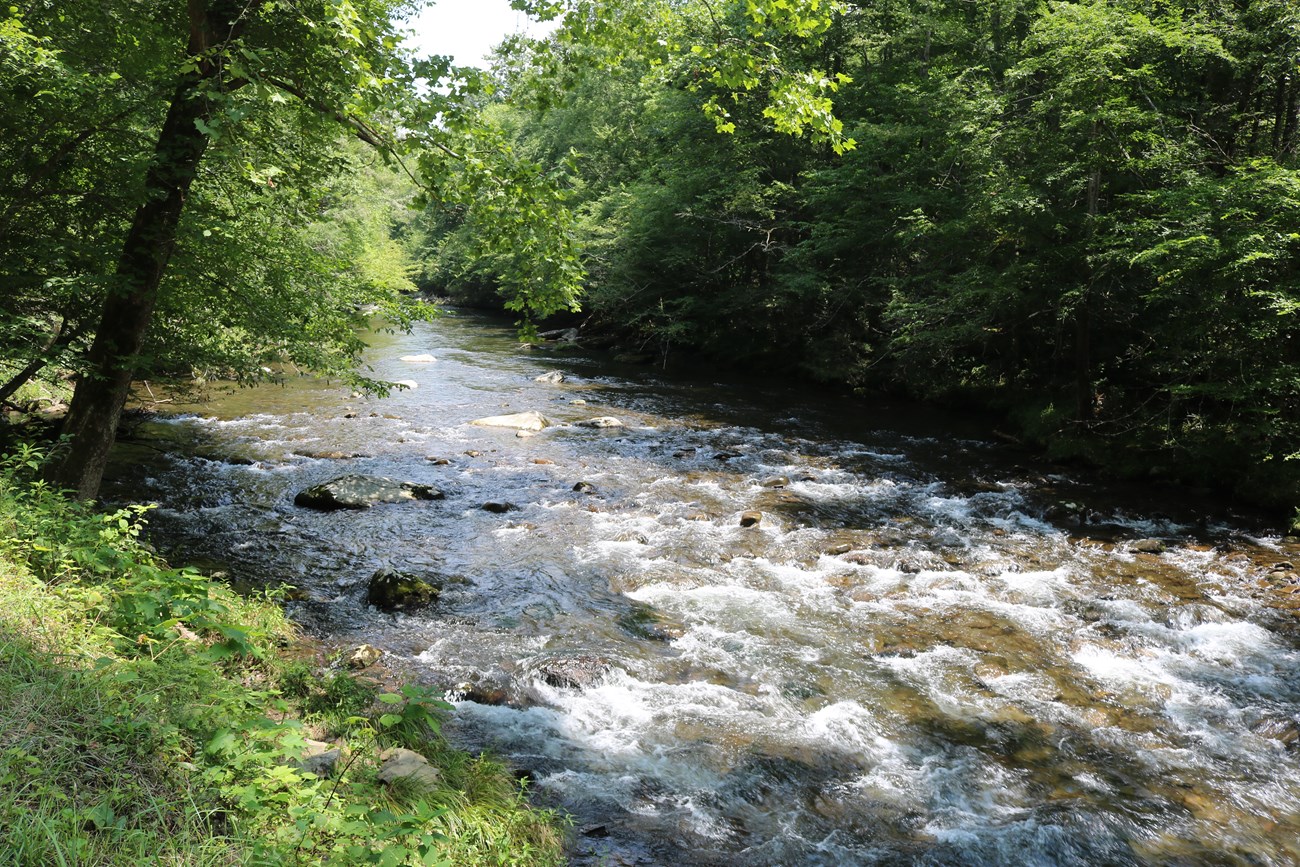 The Little River winding through the park near Elkmont