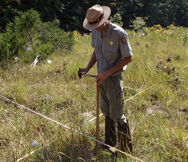 Member of field crew stands in the middle of a cobble bar transect with a measuring device.