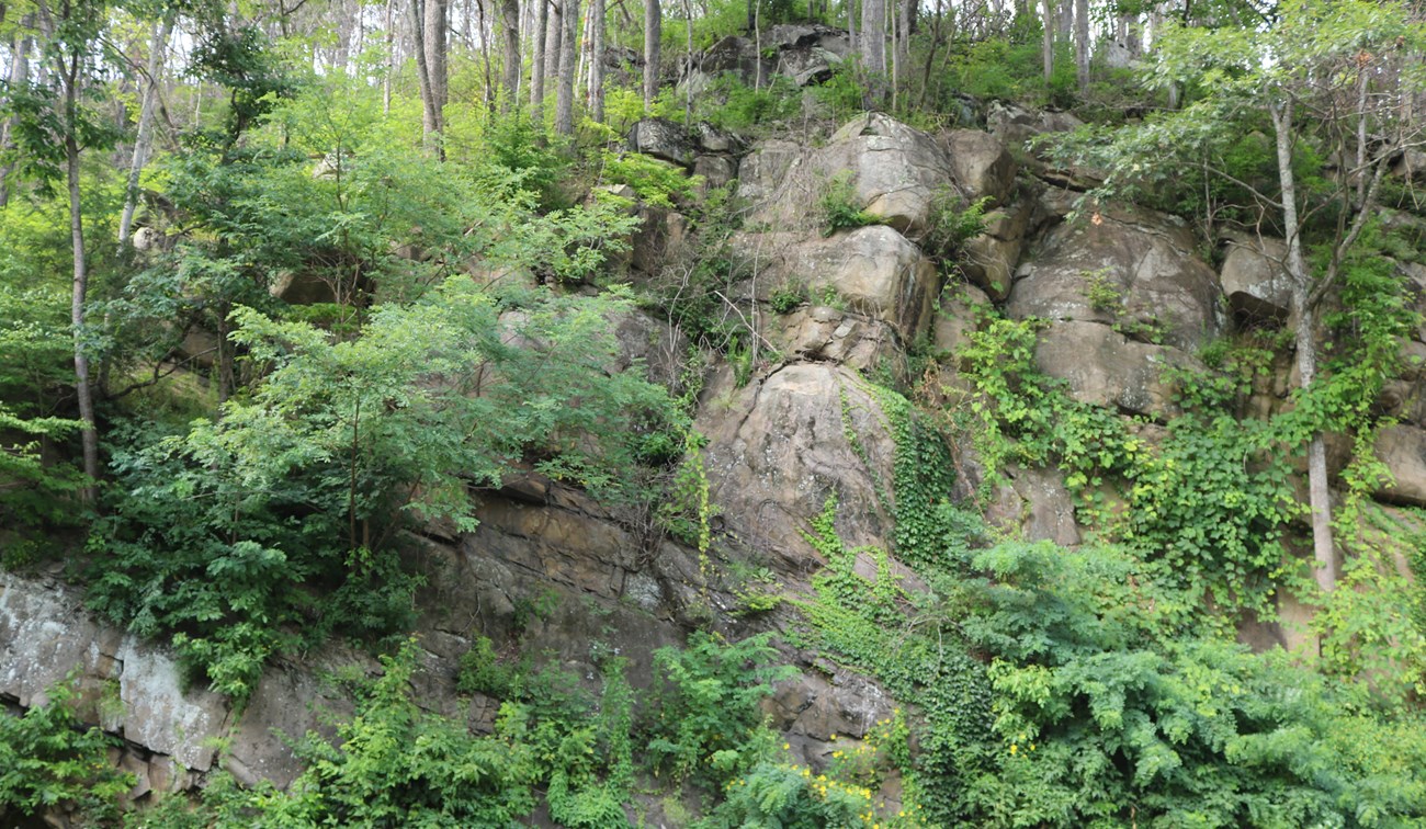 Exposed rock face along the roadside in Great Smoky Mountains National Park