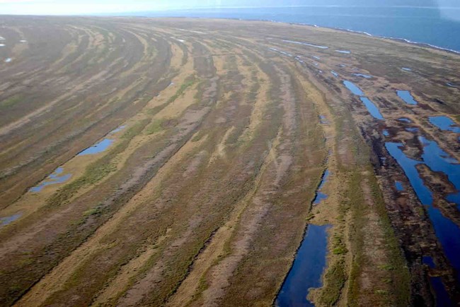 An aerial view of the ridges built up on Cape Krusenstern.