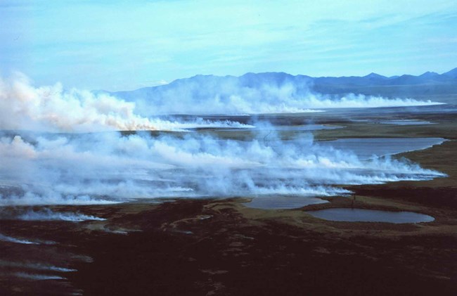 Fire in Kobuk Valley National Park A fire rages across the tundra near the Baird Mountains.