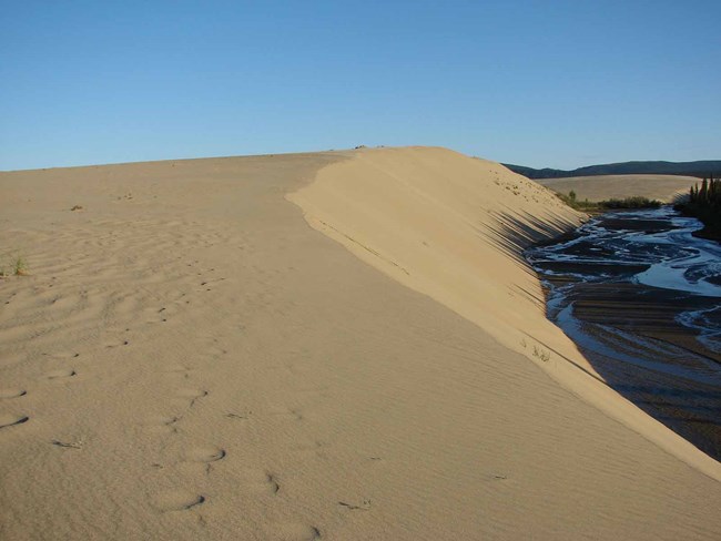 A creek cuts a sharp bank across the sand dunes.