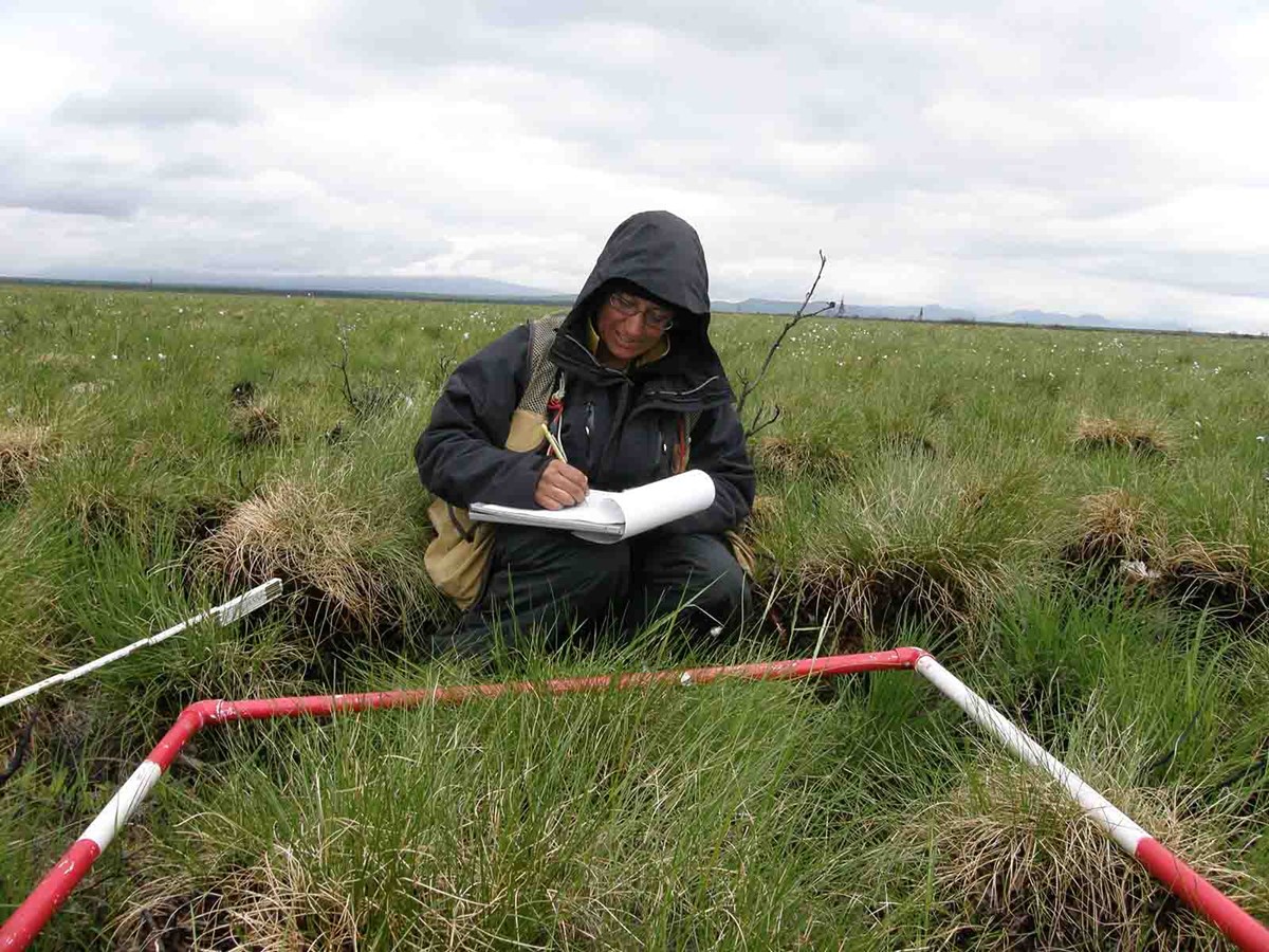 A researcher records data on a grassland grid.