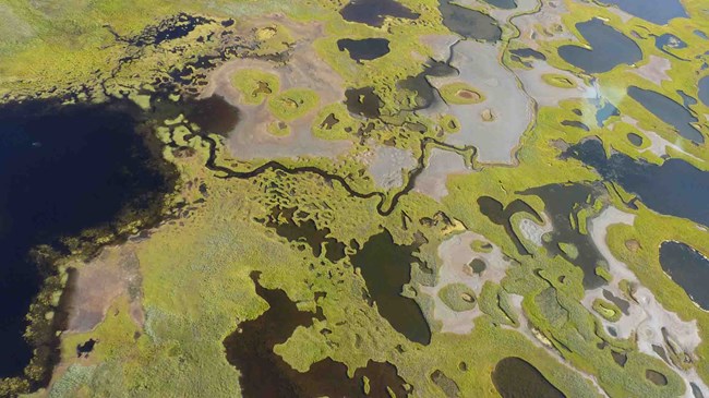 coastal patterns An aerial view of coastal lagoons, streams, and shallow lakes.