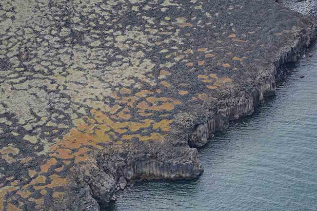 The rocky coastline of the Arctic with thermokarst.