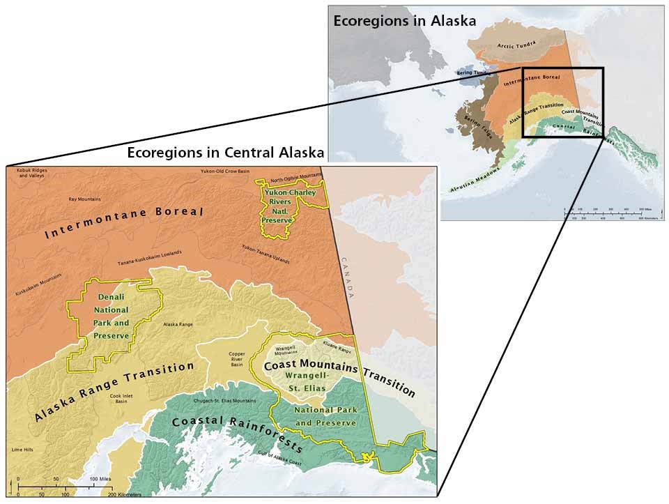 A map of the ecoregions comprising the Central Alaska Network parks with a map of Alaska ecoregions for context.