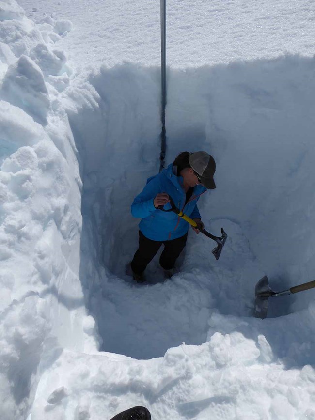 A researcher measures mass balance of a glacier