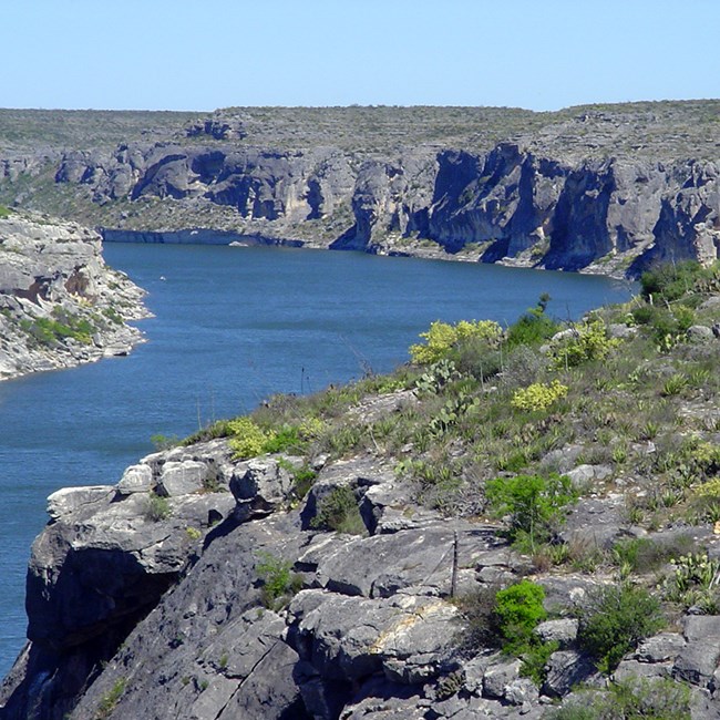 plants on top of a rocky cliff looking down into a large winding river with more cliffs in the distance