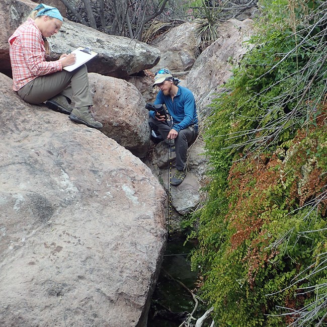 Springs Monitoring Scientists taking water measurements at a spring