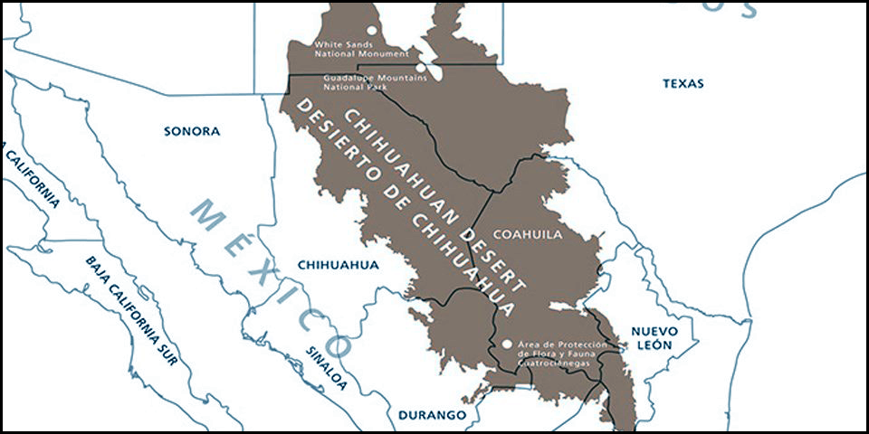 Chihuahuan Desert Ecoregion map