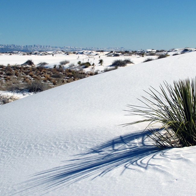 This National Park in New Mexico Has the World's Largest White-sand Dune  Field