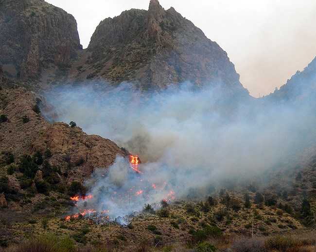 Smoke and burning plants in a mountain canyon
