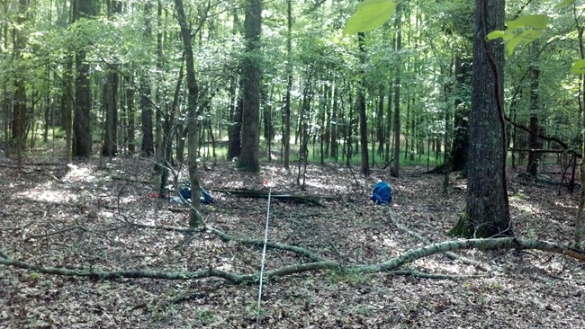 Veg crew on plot at Ninety Six National Historic Site.