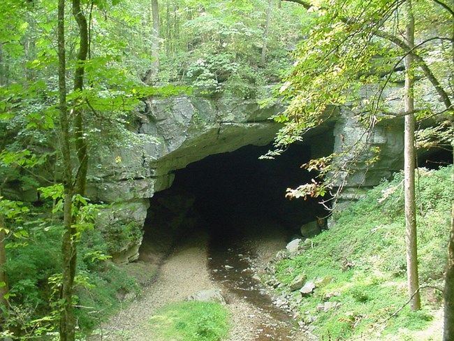 Cave entrance at Russell Cave National Monument.