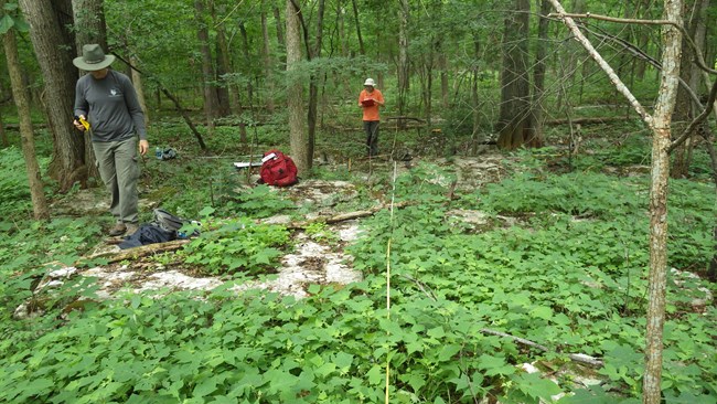 Veg crew at Stones River National Battlefield.