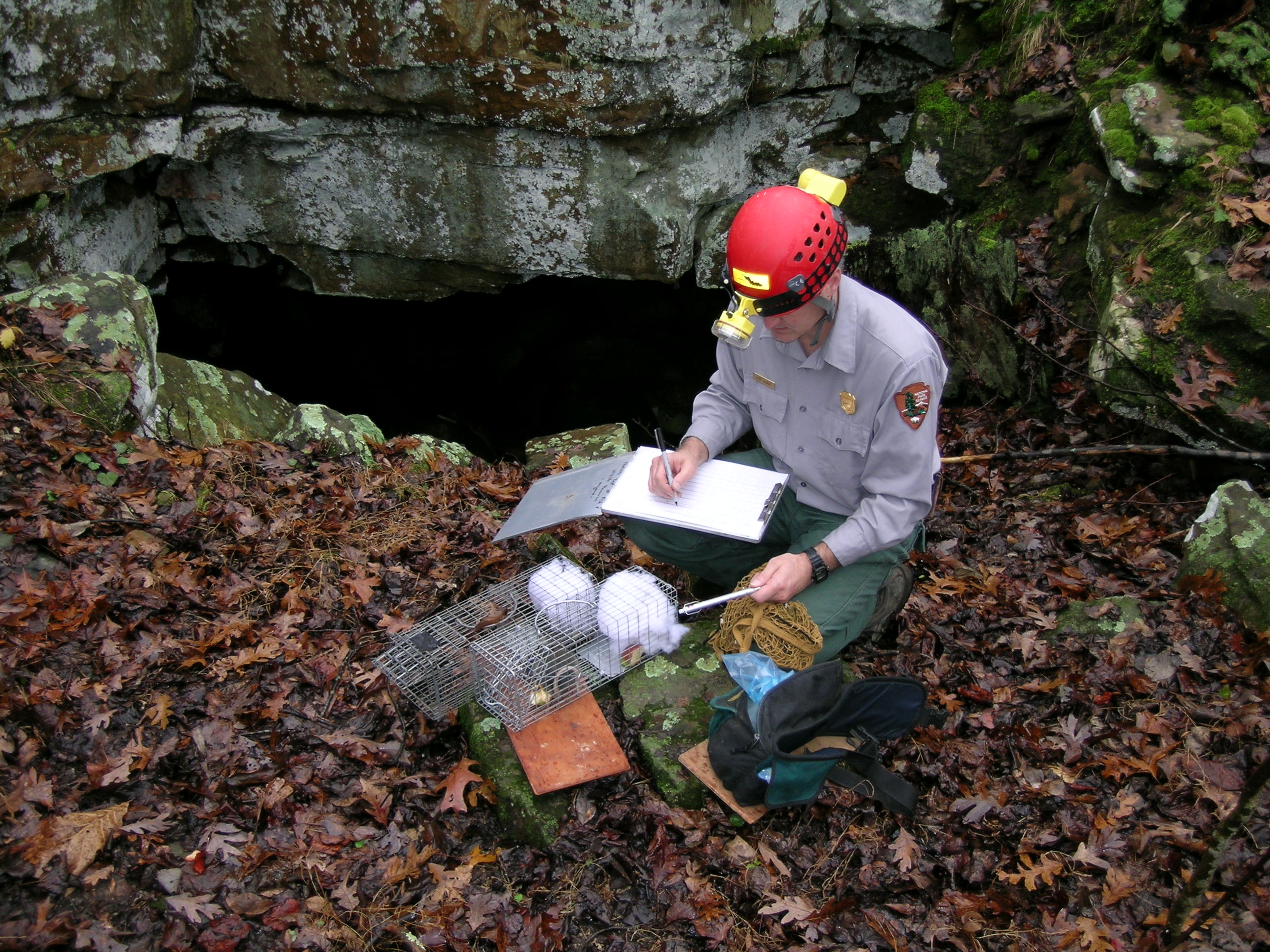 Allegheny Woodrat Monitoring (U.S. National Park Service)