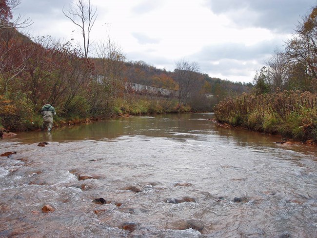 A person in waders knee deep in a river