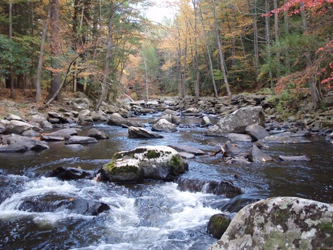 River surrounded by trees with multi-colored fall leaves