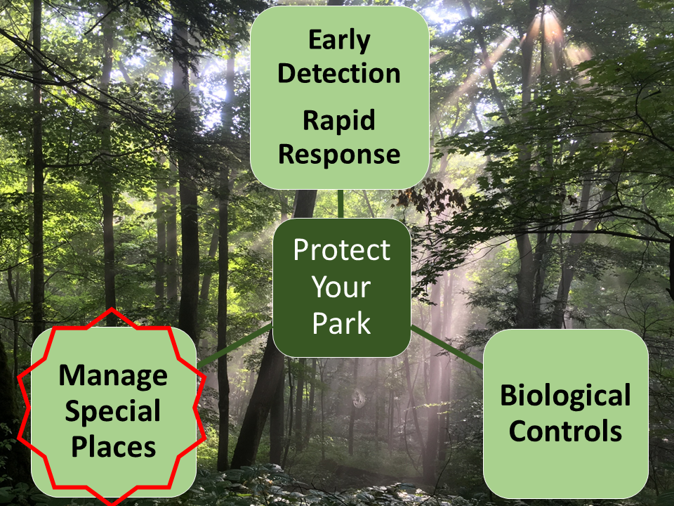Diagram of three-tier approach to managing invasive plants
