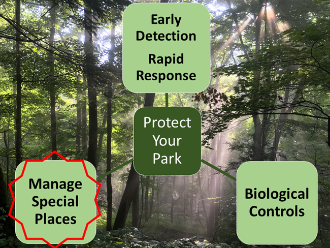 Diagram of three-tier approach to managing invasive plants Diagram of three-tier approach to managing invasive plants