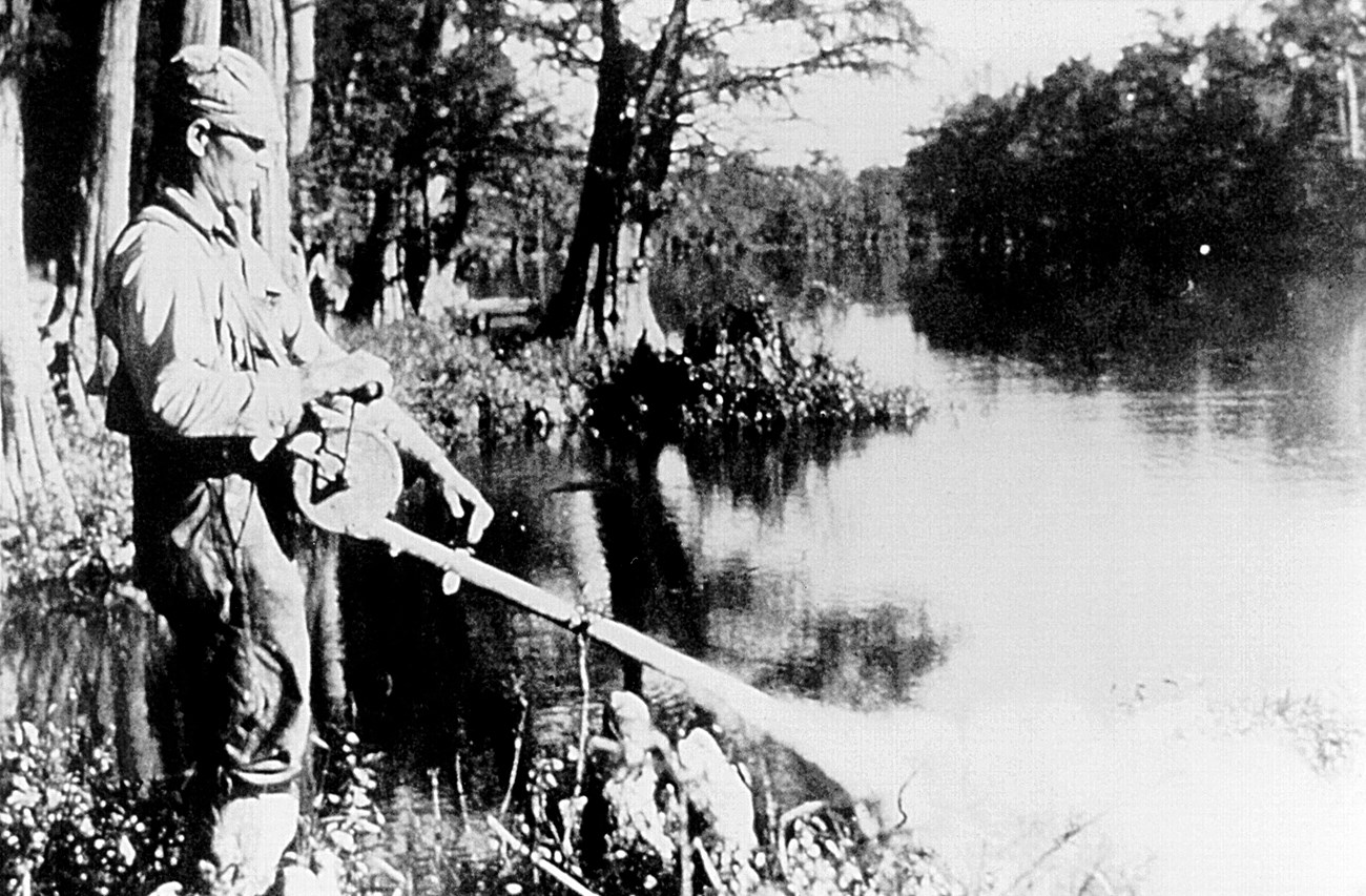 A man sprays DDT along the edge of a lake