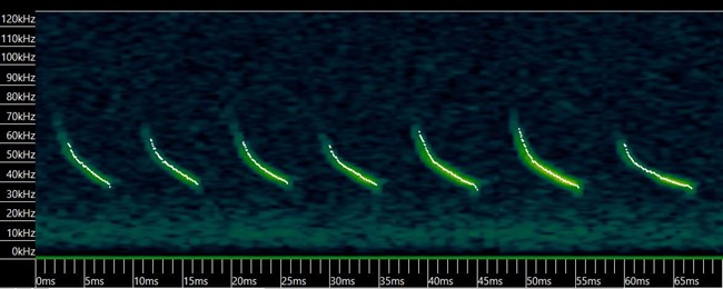 A graph showing a series of seven green lines sloping downward from left to right on a black background.