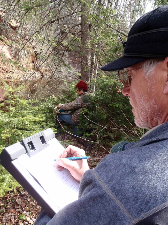 Installing a frog song recorder One person recording data as another installs a recording device at the base of a tree