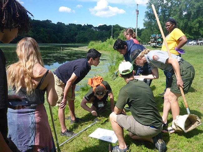 Students examining the contents of a net by the side of a river