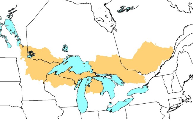 BCR12 Map showing outlines of northern states and southern Canadian provinces in the Great Lakes region. An area of yellow extends from Minnesota/Manitoba east across Wisconsin, Michigan, and southern Ontario.