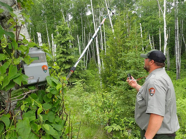 Biologist with bat recorder NPS biologist installing a bat recorder in a forest clearing.