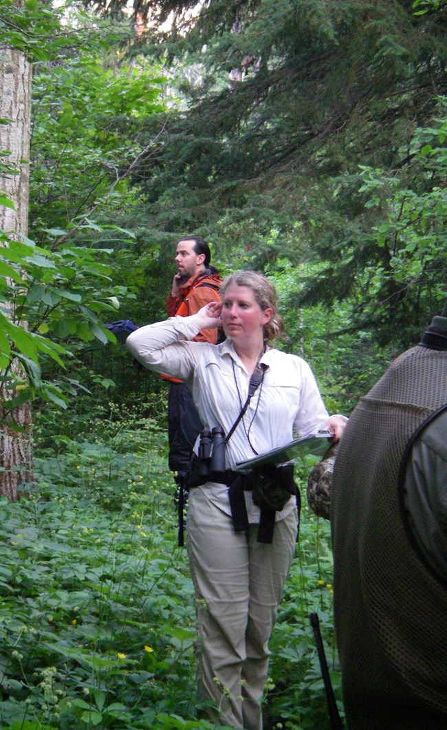 Debbie_cropped A woman standing in a green forest holds her hand up to her ear and looks left. She is wearing binoculars and holding a clipboard. A man in orange behind her is also holding a hand up to his ear and looking left.