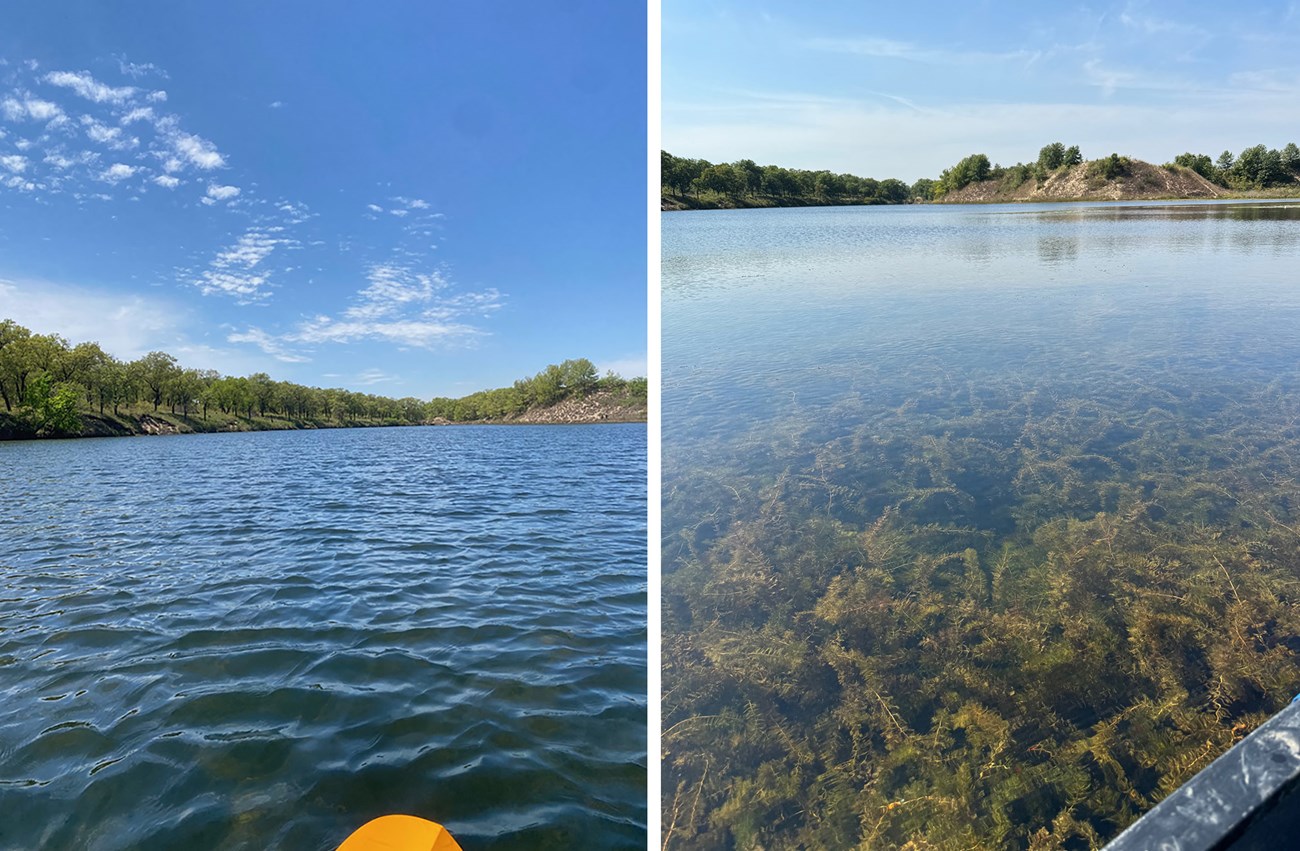 INDU-Lagoon_May-Sept A pair of photos showing the same stretch of water and sky. In the left photo, the water is rippled and clear. In the right photo, the water is calm and a thick growth of aquatic plants rises to just below the surface.