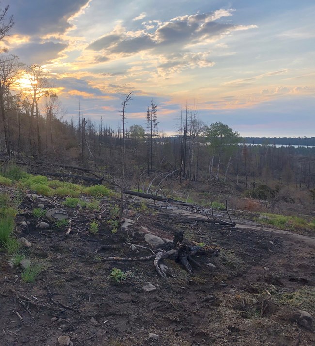 Sunrise above a burned-over hillside. Water is in the distance.