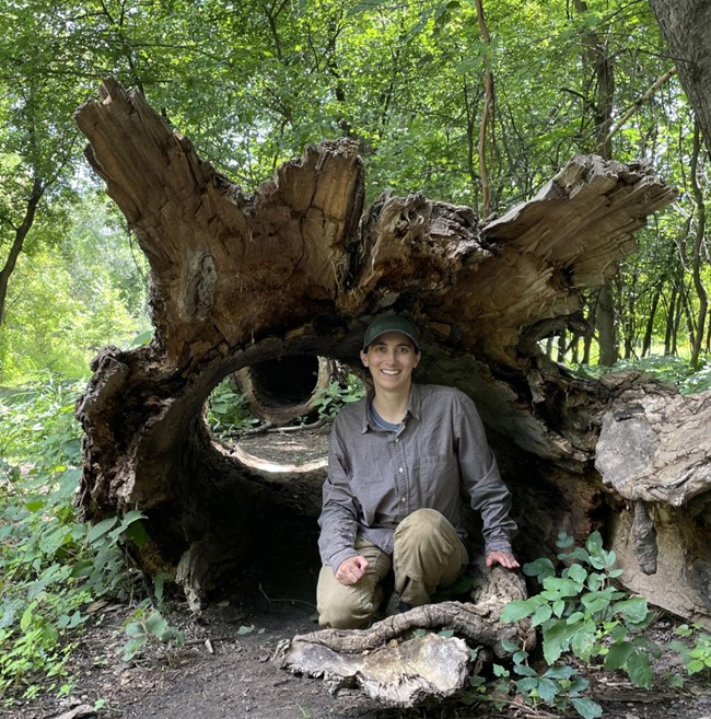 A woman crouches inside an enormous hollowed out tree. Plants and green tree leaves are all around.