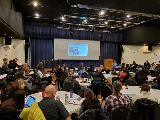 An audience seated at round, white tables watches a presentation on a big screen at the front of the room.