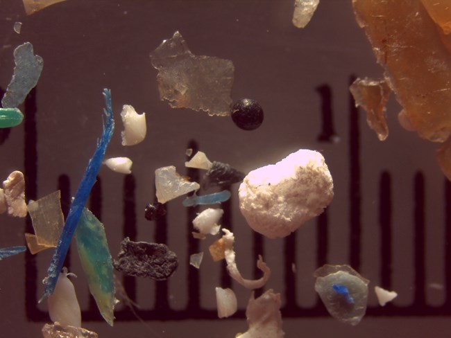 Variety of microplastics on a ruler