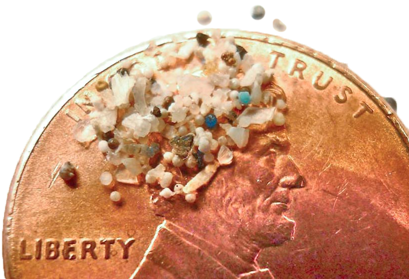 Microplastics scattered on part of a penny Microplastics scattered on part of a penny