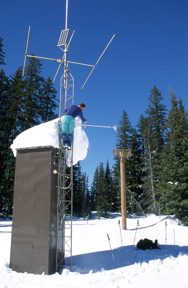 man standing on a ladder at the top of a data collection structure with snowy woods in the background