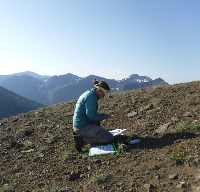 Jacketed woman kneels on almost bare alpine slope holding a device.