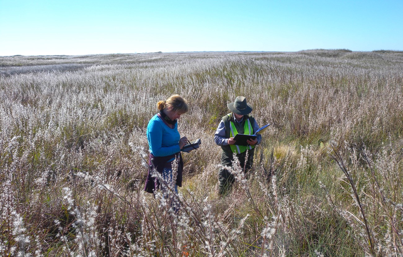 two field researchers standing in a grassland, reviewing notes and entering data into a handheld device