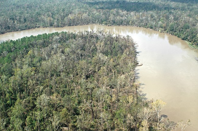 Neches River in Big Thicket National Preserve.