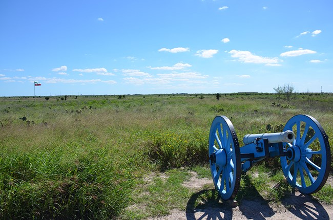 Grasslands at Palo Alto battlefield. Sections of the battlefield have been invaded by the non-native Kleberg bluestem (Dichanthium annulatum), which is in the foreground to the right.