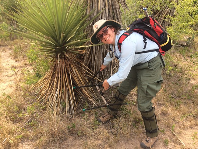 Texas tortoise monitoring at Palo Alto Battlefield National Historical Park