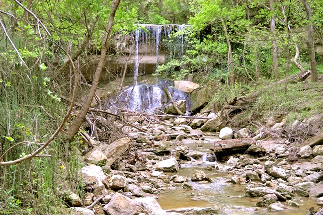 a small waterfall with water flowing into a rocky streambed, with vines and forest plants surrounding it