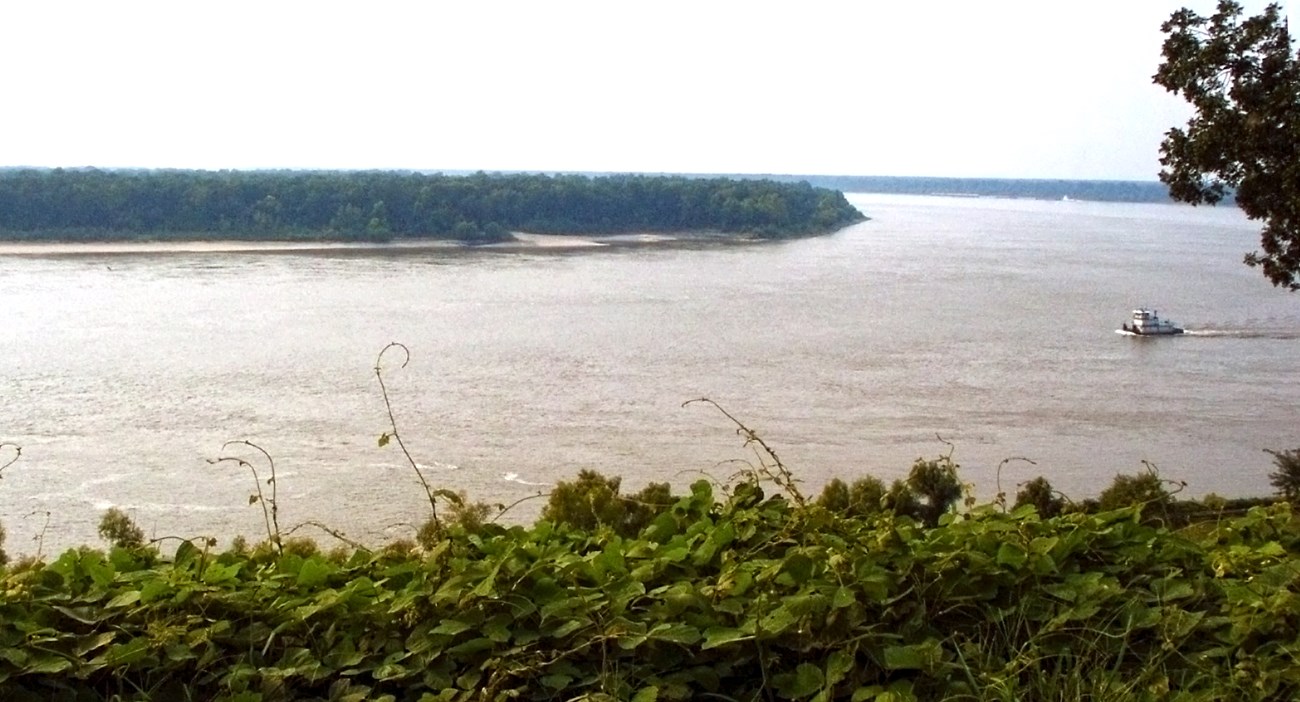 overlooking the Mississippi river, with invasive vine kudzu in the foreground and a boat on the river