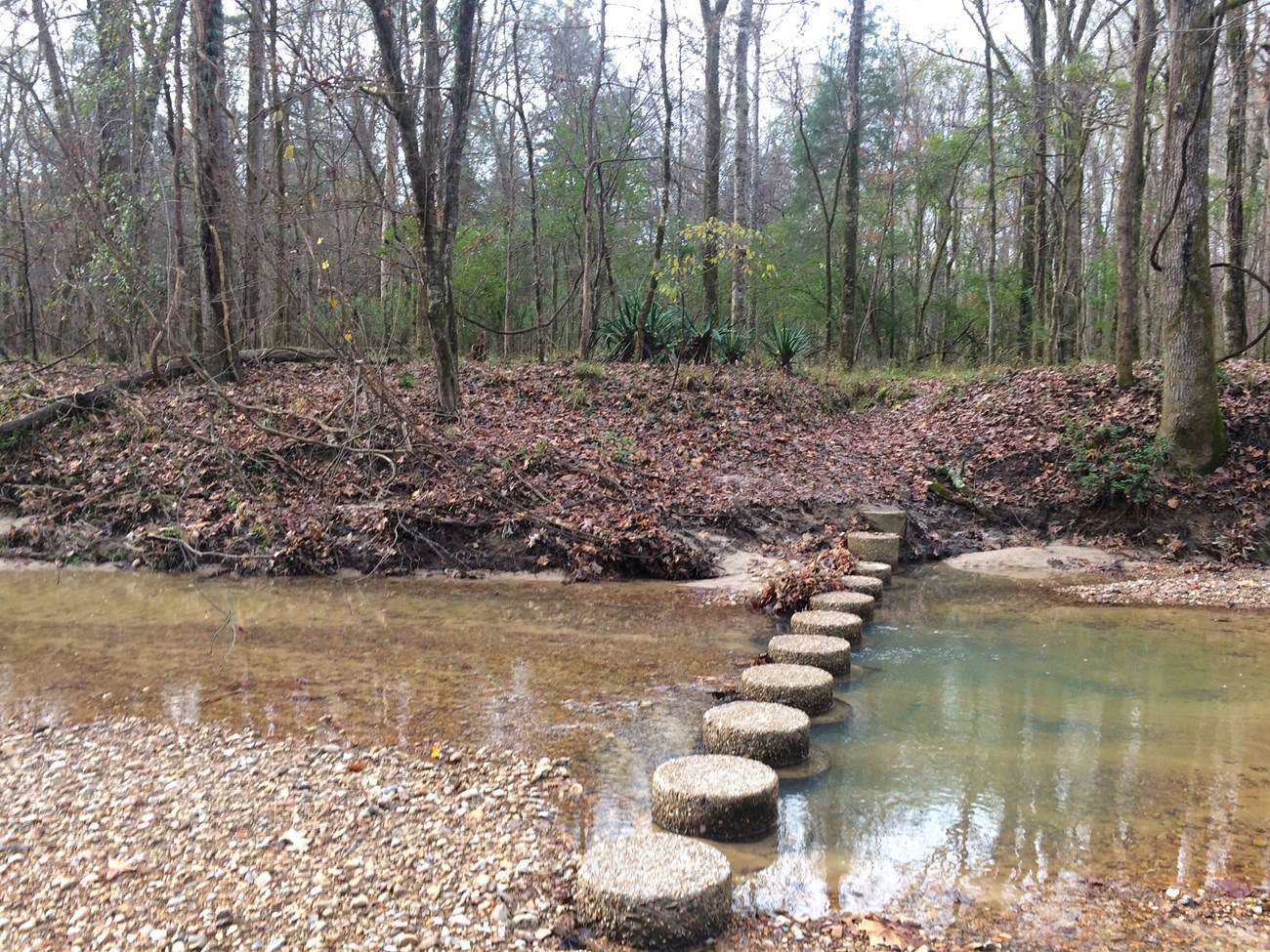 stepping blocks across a small stream