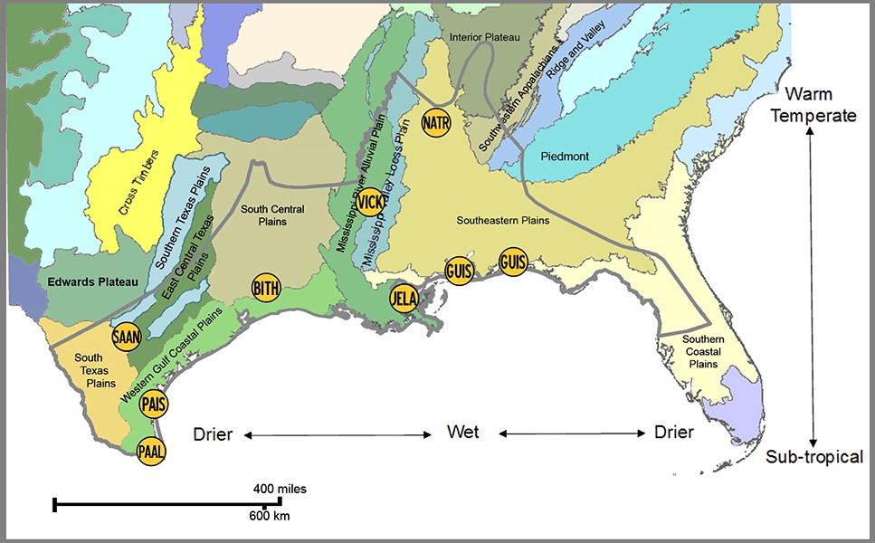 Park locations and ecoregions of the Gulf Coast Network. Adapted from the 2003 U.S. Environmental Protection Agency Level III Ecoregions of the Continental United States.  For NATR, the circle indicates the head office, north of the parkway’s midpoint. GU