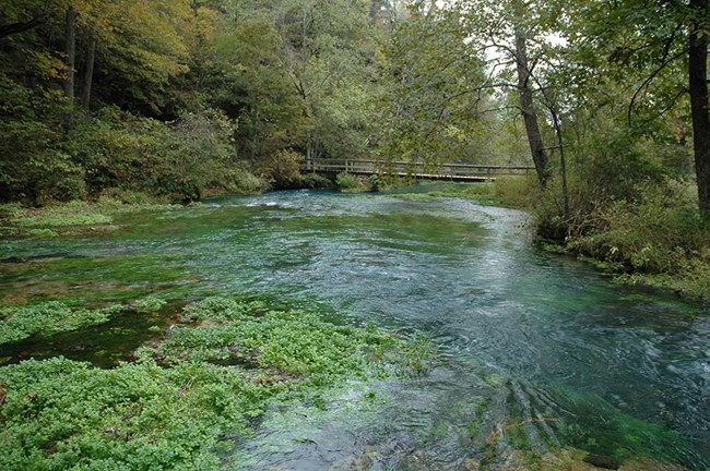 Footbridge crossing Alley Spring at Ozark National Scenic Riverways